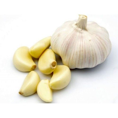 Lahsun (Garlic) Extract