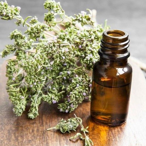 Natural Thyme Extract