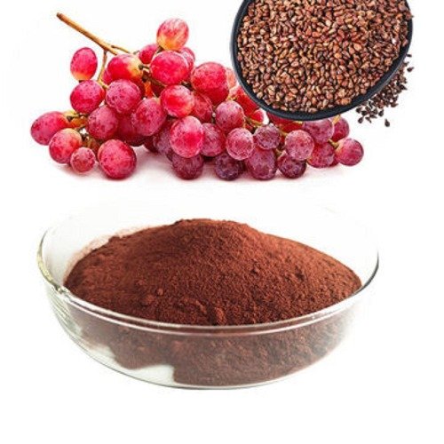 Grape Seed Extract