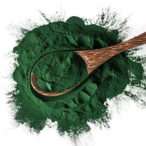 Spirulina platensis