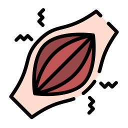 Supports relief from muscle pain and cramps